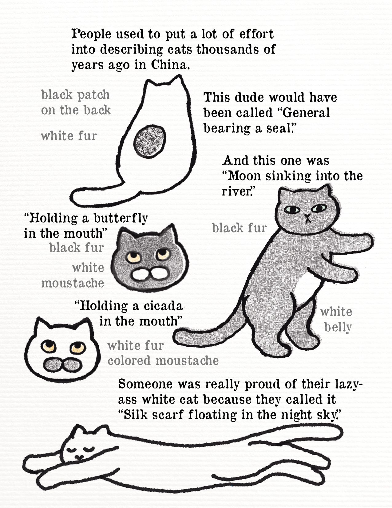 Poetic cats-compressed